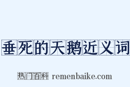 垂死的天鹅近义词是什么意思的图片